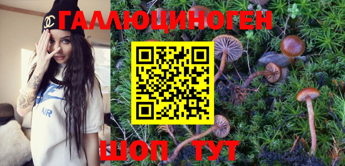 Галлюциногенные грибы MAGIC MUSHROOMS  Вход с VPN  Богданович 
