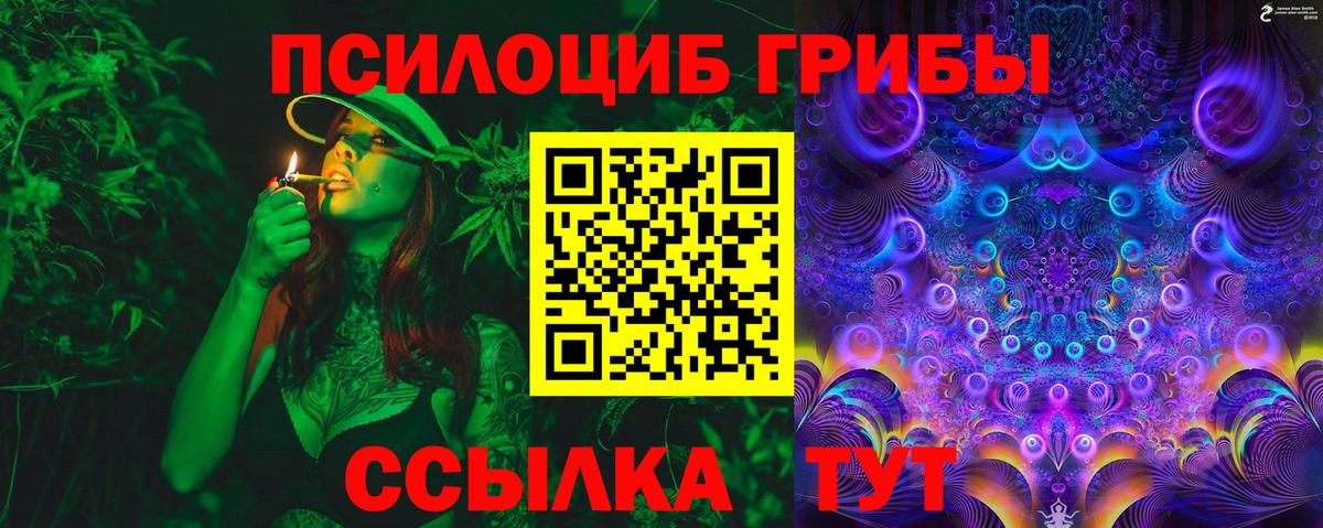 Псилоцибиновые грибы GOLDEN TEACHER Богданович